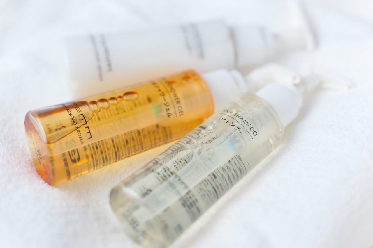 Remm Plus Ginza Tokyo Ngoại thất bức ảnh